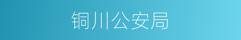 铜川公安局的同义词