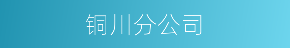 铜川分公司的同义词