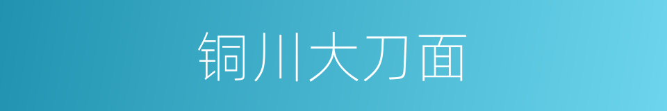 铜川大刀面的同义词