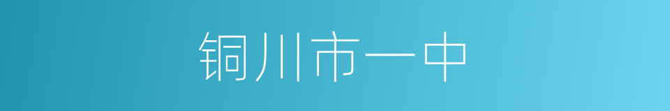 铜川市一中的同义词