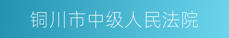 铜川市中级人民法院的同义词