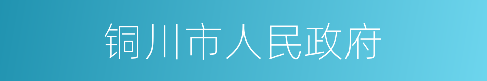 铜川市人民政府的同义词