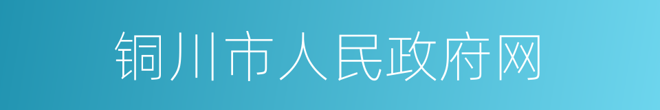 铜川市人民政府网的同义词