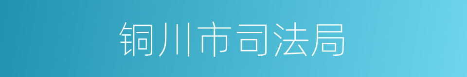 铜川市司法局的同义词