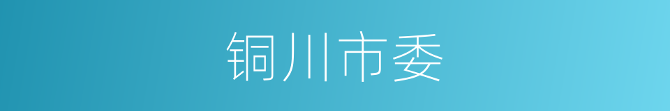 铜川市委的同义词