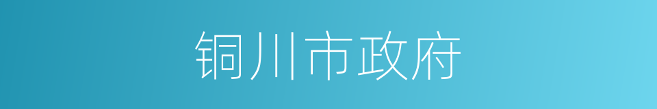 铜川市政府的同义词