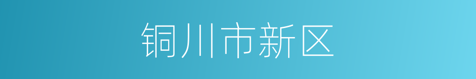 铜川市新区的同义词