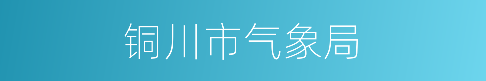 铜川市气象局的同义词