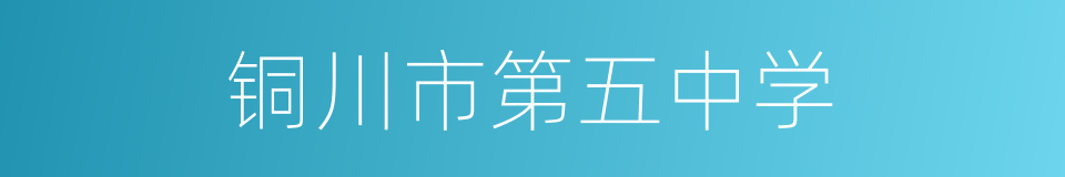 铜川市第五中学的同义词