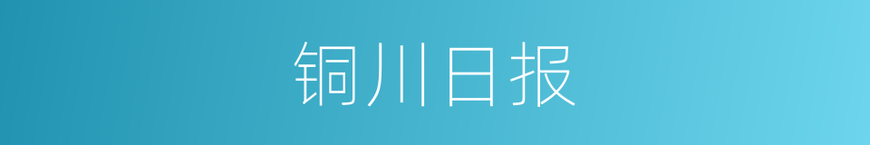 铜川日报的同义词