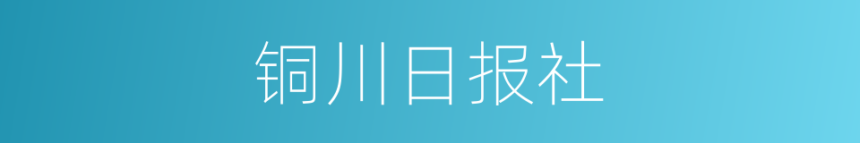 铜川日报社的同义词