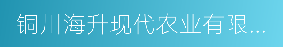 铜川海升现代农业有限公司的同义词