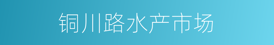 铜川路水产市场的同义词