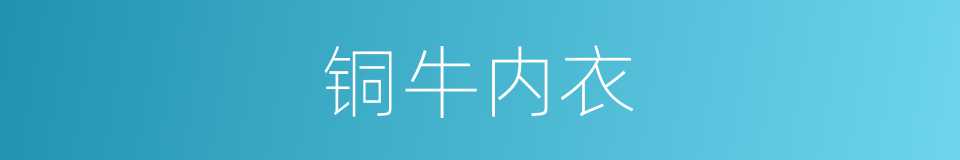 铜牛内衣的同义词
