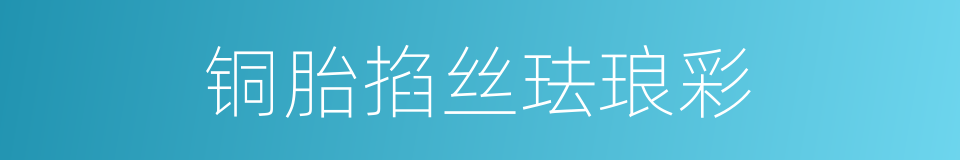 铜胎掐丝珐琅彩的同义词