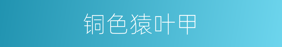 铜色猿叶甲的同义词
