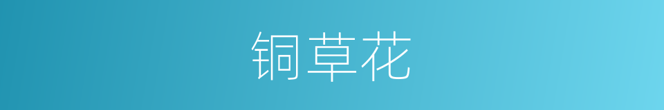 铜草花的同义词