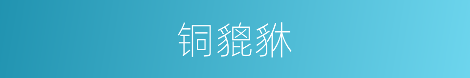 铜貔貅的同义词
