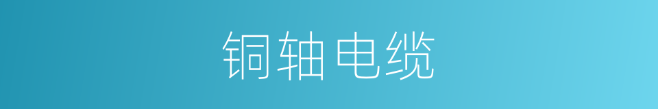 铜轴电缆的同义词