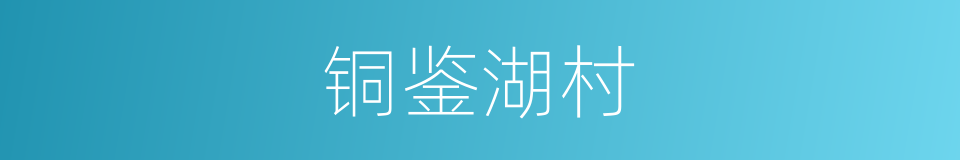 铜鉴湖村的同义词