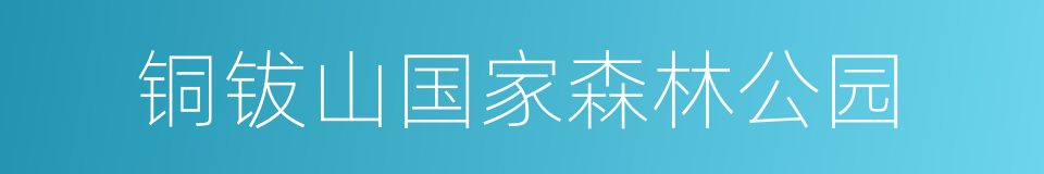 铜钹山国家森林公园的同义词