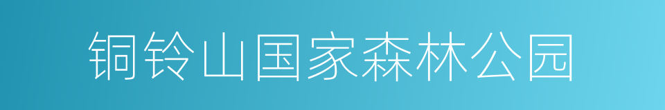 铜铃山国家森林公园的同义词