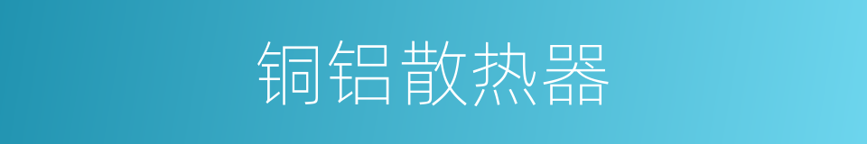 铜铝散热器的同义词