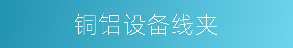 铜铝设备线夹的同义词