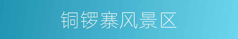 铜锣寨风景区的同义词