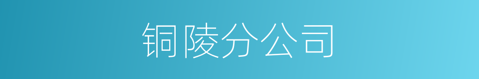 铜陵分公司的同义词