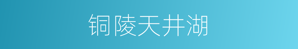 铜陵天井湖的同义词