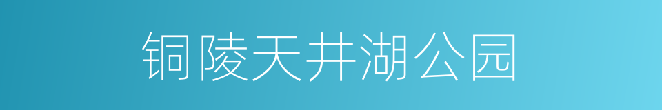 铜陵天井湖公园的同义词