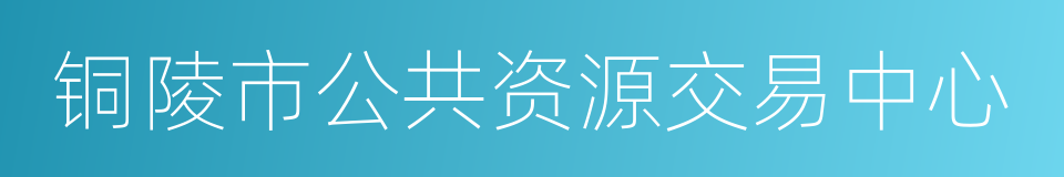 铜陵市公共资源交易中心的同义词