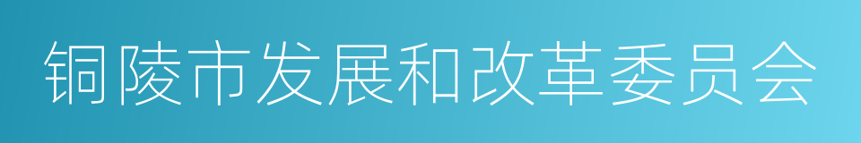 铜陵市发展和改革委员会的同义词