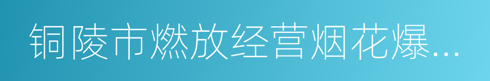 铜陵市燃放经营烟花爆竹管理规定的同义词