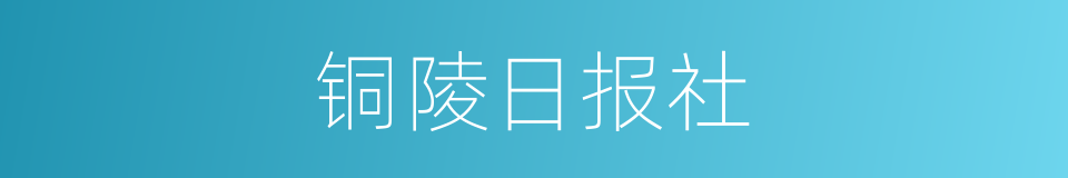 铜陵日报社的同义词