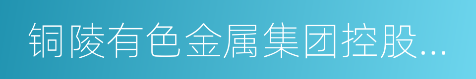 铜陵有色金属集团控股有限公司的同义词
