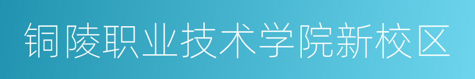 铜陵职业技术学院新校区的同义词