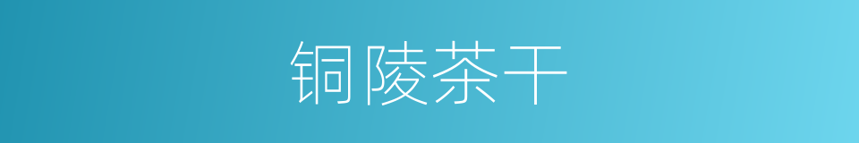 铜陵茶干的同义词