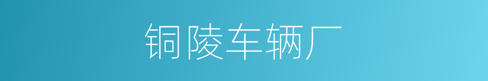 铜陵车辆厂的同义词