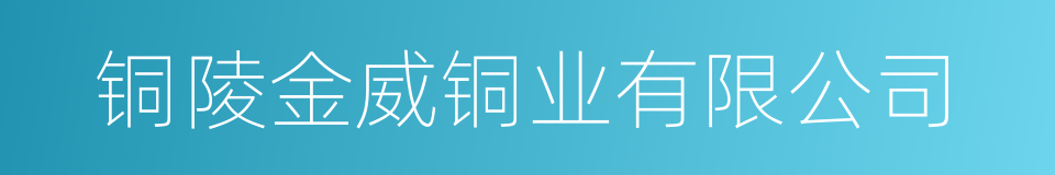 铜陵金威铜业有限公司的同义词