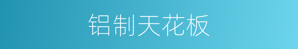 铝制天花板的同义词