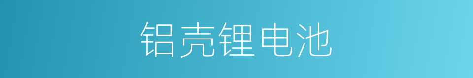 铝壳锂电池的同义词