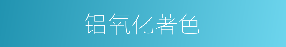 铝氧化著色的同義詞