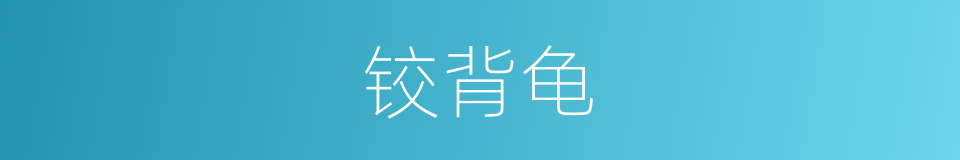 铰背龟的同义词
