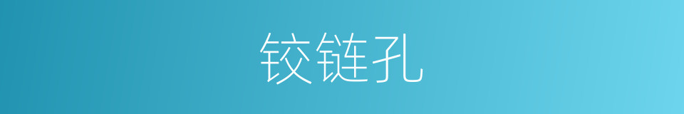 铰链孔的同义词