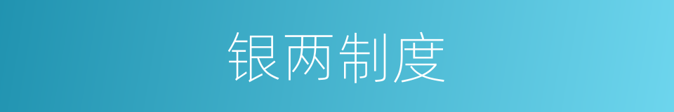 银两制度的同义词