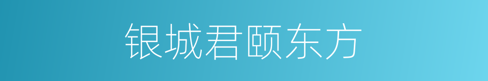 银城君颐东方的同义词