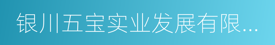银川五宝实业发展有限公司的同义词