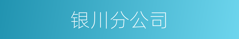 银川分公司的同义词